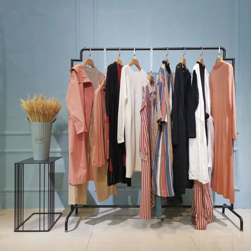 广州批发女装多少钱武汉市品牌折扣店女装批发羽绒服哪家好